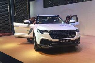 4虎国产视频,激情燃烧的青春岁月